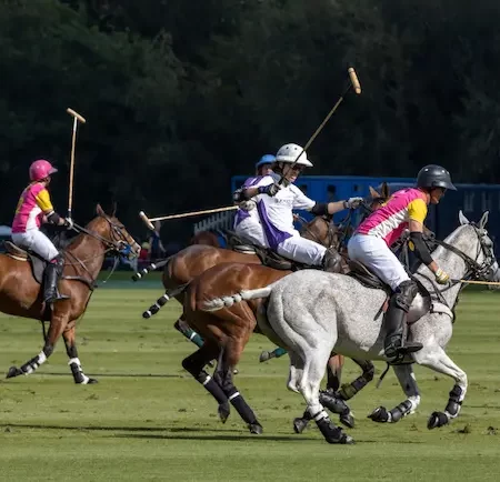 The Intricacies of Betting on Polo